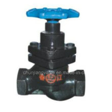 Thread Cast Iron Plunger Valve